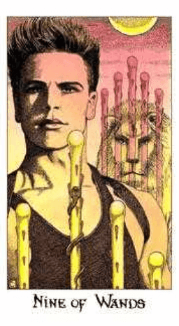 Nine of Wands